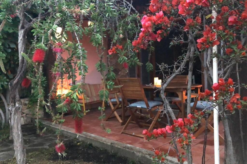 Villetta La Cinta Сан-Теодоро Экстерьер фото